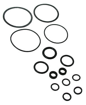 Powers 410-570 Repair Kit for 410 with Oversize Seals
