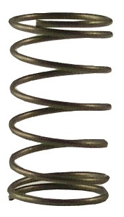 Fisher 2000-6000 Spring Check Valve