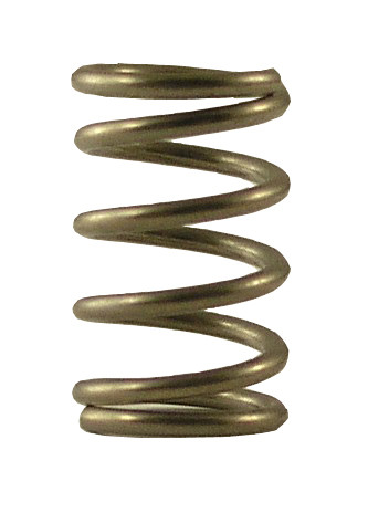 Fisher 2912-6000 Spring Spray Valve