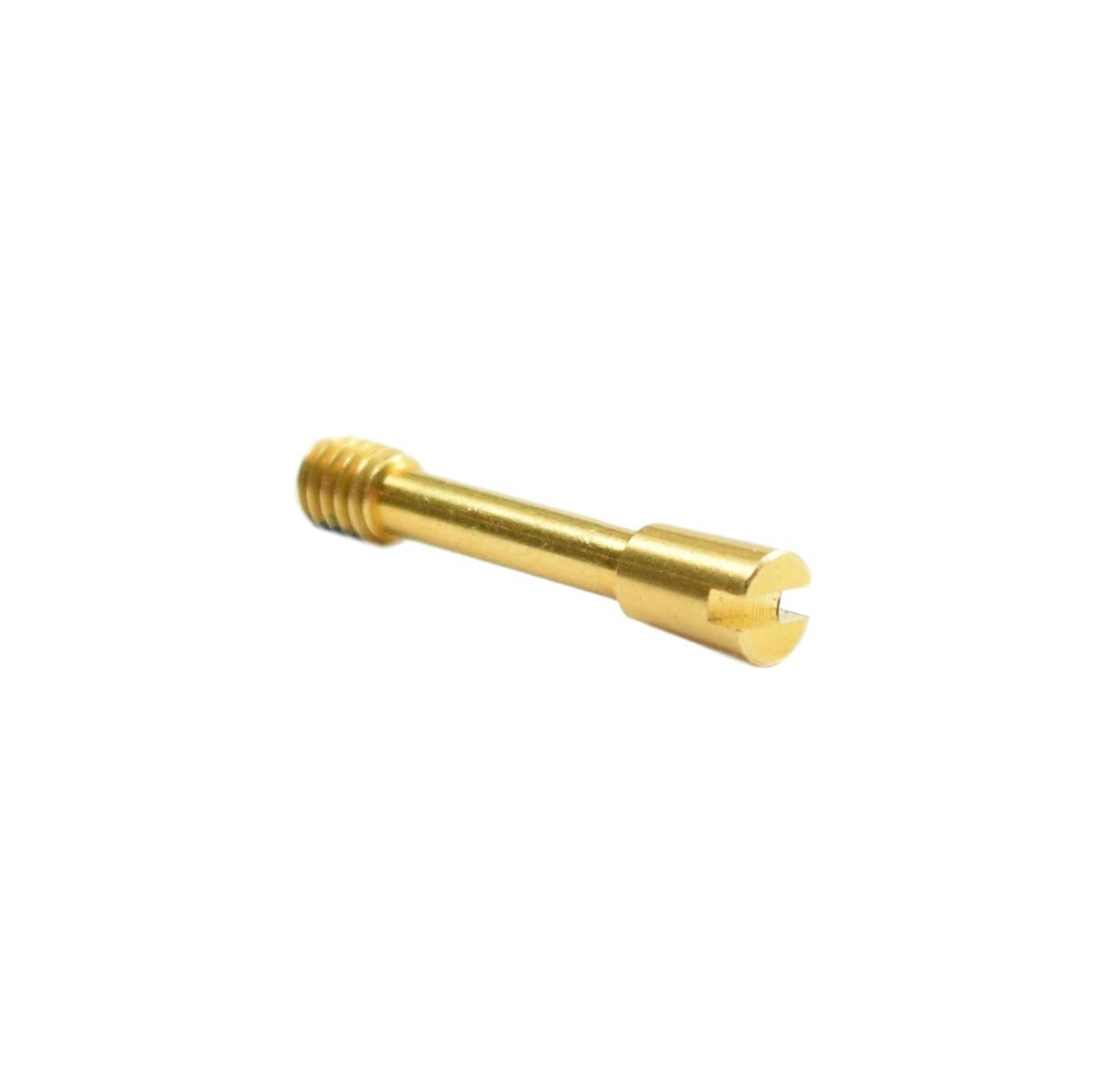 Sloan DO-3 Rough Brass Screw