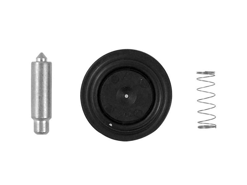 Bradley S65-262 AST4 Valve Repair Kit