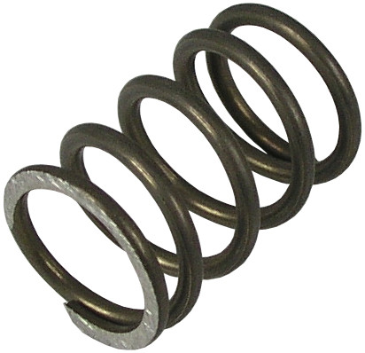 T&S Brass 000895-45 008A Bonnet Spring