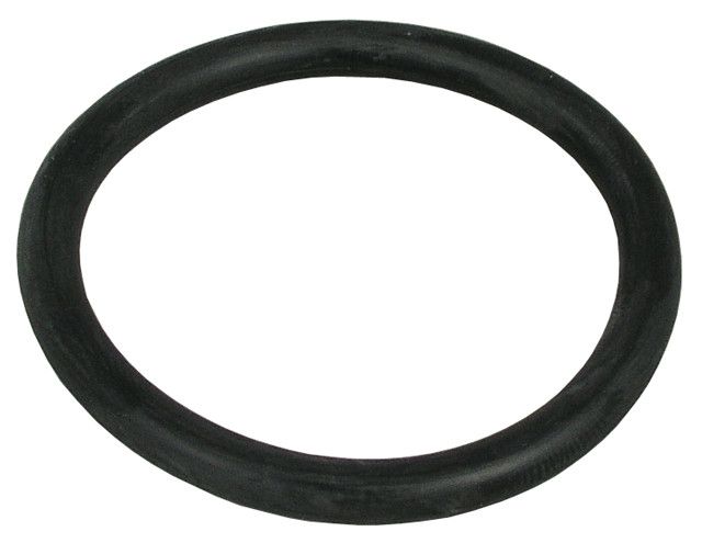 T&S Brass 010389-45 Plunger O-Ring