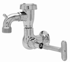 Fisher 29548 Faucet