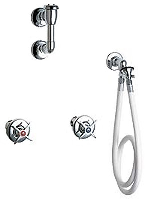 Chicago 778-VBGCP Wall Mounted Spray