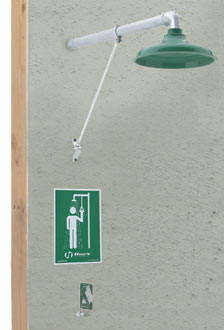 Haws 8111FP Wall-Mounted Freeze-Resistant Drench Shower
