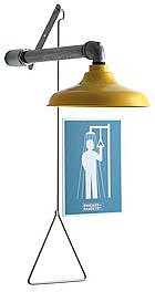 Chicago 9100-NF Drench Shower