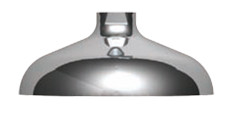 Guardian AP450-016 Brass Drench Showerhead