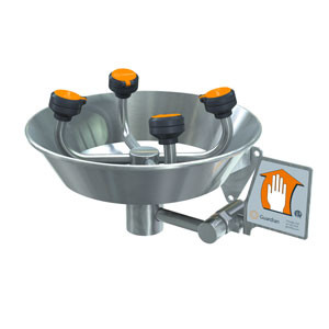 Guardian G1791 Wall-Mounted Stainless Steel Eye/Face Wash