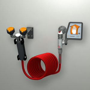 Guardian G5014 Wall-Mounted Combination Drench Hose & Eyewash