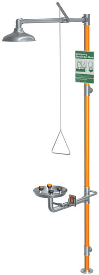 Guardian GBF1994 Barrier-Free Stainless Steel Combination Drench Shower & Eye/Face Wash