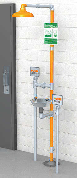 Guardian GFR1902 Freeze-Resistant Combination Drench Shower & Eyewash (with Plastic Showerhead)