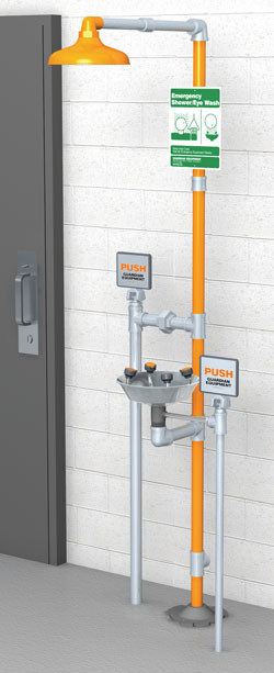 Guardian GFR1909 Freeze-Resistant Combination Drench Shower & Eye/Face Wash