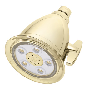 Speakman S-2005-HB-BB 5-Jet Anystream 2000 Showerhead - Bright Brass (Discontinued)