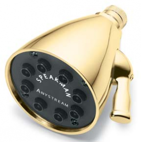 Speakman S-2251-PB 8-Jet Anystream Showerhead - Polished Brass