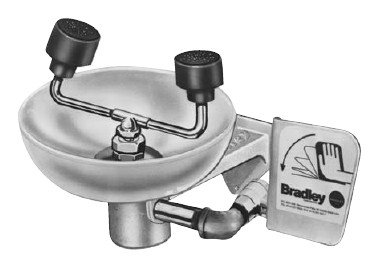 Bradley S19-220FWPT Eye/Face Wash (with Plastic Receptor, Tailpiece, and P-Trap)