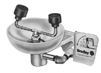 Bradley S19-220TSS Stainless Steel Eye/Face Wash (with Plastic Sprayheads)
