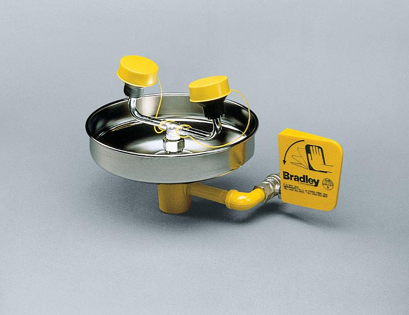 Bradley S19-230FW Unmounted Eye/Face Wash (with Plastic Receptor)