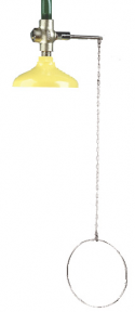 Speakman SE-206 Drench Shower