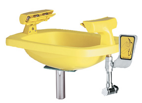 Speakman SE-401 Wall-Mounted Eye/Face Wash (with Plastic Receptor)