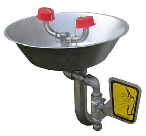 Speakman SE-490-SS Stainless Steel Eye/Face Wash (with Stainless Steel Receptor)