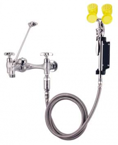 Speakman SEF-9000-FM Wall-Mounted Service Sink Eyewash (with Drench Hose)