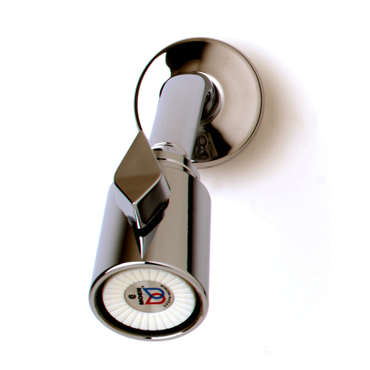 T&S Brass B-1090 Shower Head 