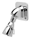 Zurn Z7000-i6 Institutional Wall Mount Shower Head 