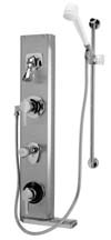 Zurn Z7533-DV2P-HW AquaPanel Shower 