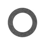 GASKET 1020 VALVE (PLUG)