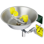 Speakman SE-490 Eye/Face Wash (with Stainless Steel Receptor)