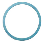 Symmons TT-11-400 Casing Gasket