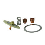 Halsey Taylor 60-08050-51-550 Diaphragm Repair Kit