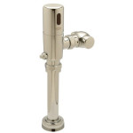 Zurn ZTR6200-1-WS1 EcoVantage Flush Valve 1.6 Closet