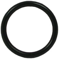Fisher 1600-5000 O-Ring