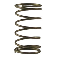 Fisher 2000-6000 Spring Check Valve