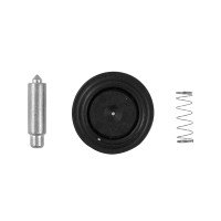 Bradley S65-262 AST4 Valve Repair Kit