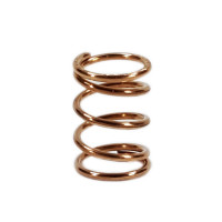 T&S Brass 000894-45M Spring (Qty 25)