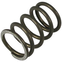 T&S Brass 000895-45 008A Bonnet Spring