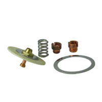 Halsey Taylor 60-08050-51-550 Diaphragm Repair Kit