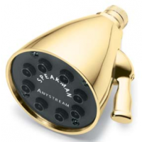 Speakman S-2251-PB 8-Jet Anystream Showerhead - Polished Brass