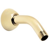 Speakman S-2520-PB 5 1/2" Arm & Flange w/ 1/2" MNPT Inlet & Outlet - Polished Brass