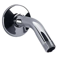 Speakman S-2520 5 1/2" Arm & Flange w/ 1/2" MNPT Inlet & Outlet - Polished Chrome