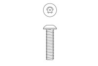 Acorn 0112-003-000 1/4-20 X 1" Button Head Hex W/Ctr Reject S.Stl Screw