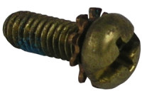 Symmons T-32 Handle Screw w/ Lockwasher