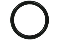 Fisher 1600-5000 O-Ring