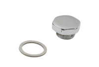 Sloan CN-1007-A Cap & Screw Repair Kit