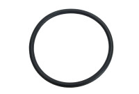 Sloan DO-2 Seat O-Ring