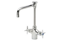 Zurn Z826V2-XL AquaSpec Double Laboratory Faucet
