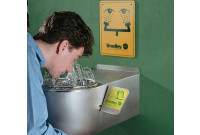 Bradley S19-220BF Barrier-Free Wall-Mounted Eye/Face Wash (with Wraparound Skirt)